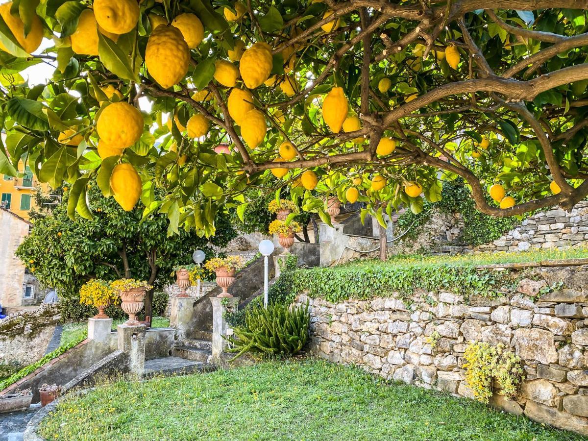 A~Mare Casa Vacanze Fezzano  Exteriör bild